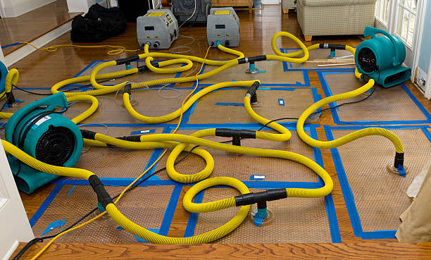 Professional Storm Water Damage Restoration technician working in Vincent, AL