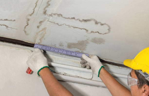 Affordable Water Damage Repair solutions in Vincent, AL